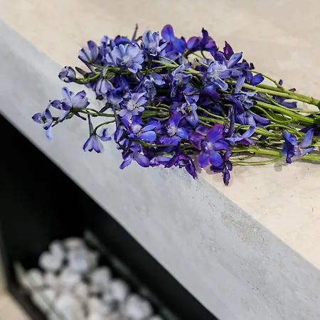 Apartament 3d Wygoda Kraków