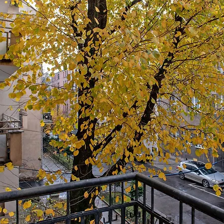 3d Wygoda * Krakow
